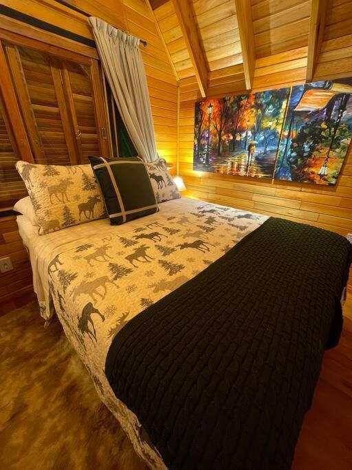 Laventure Vert - Ideal Para Relaxar São Francisco de Paula エクステリア 写真